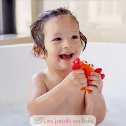 Les amis du rocher - Hape Toys