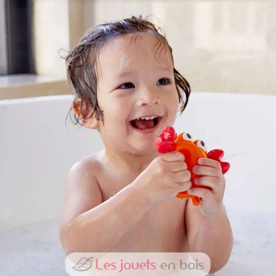 Les amis du rocher - Hape Toys