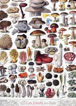 Les champignons de Millot - Puzzle Michèle Wilson