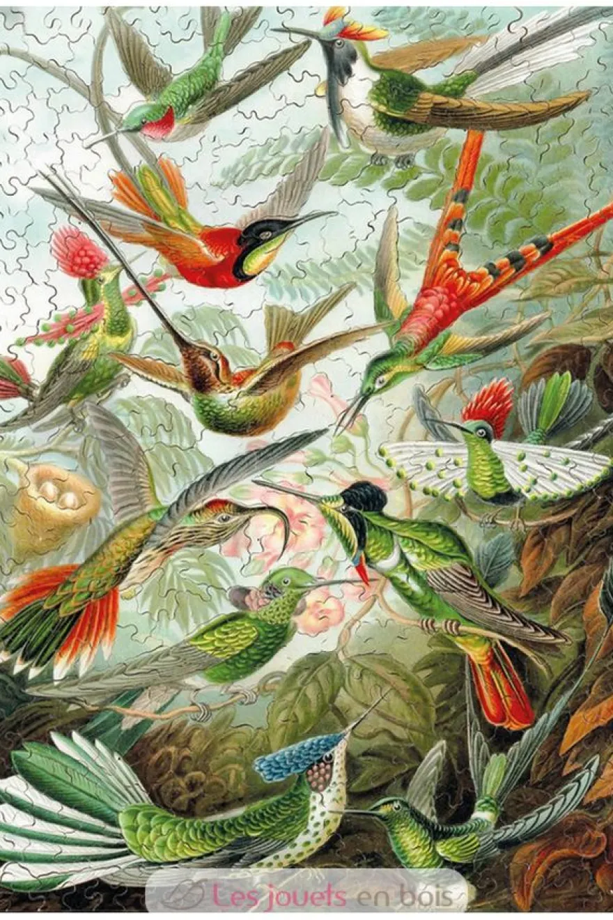 Les colibris HAECKEL - Puzzle Michèle Wilson