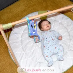 Livre d'éveil Kiprokos le zèbre violet - Les Déglingos