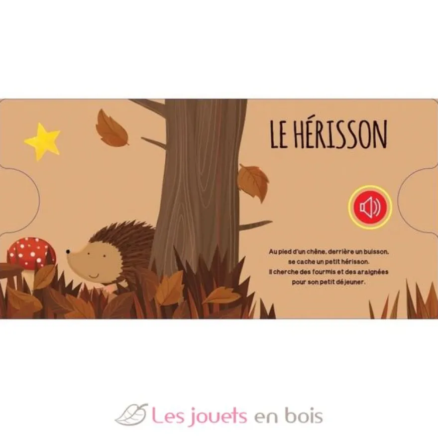 Livre sonore La Forêt - Sassi Junior