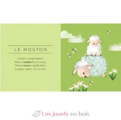 Livre Touche à tout - Les Animaux - Sassi Junior