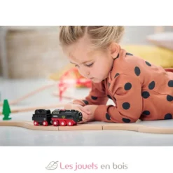 Locomotive à piles à vapeur - Brio