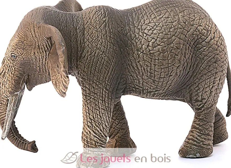 Éléphant d'Afrique femelle marron - Schleich