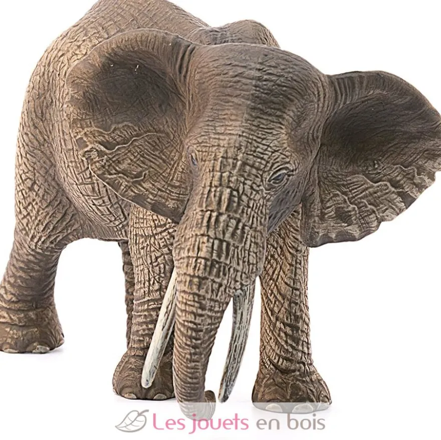 Éléphant d'Afrique femelle marron - Schleich