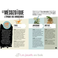 L'ère des dinosaures - Le Tricératops - Sassi Junior