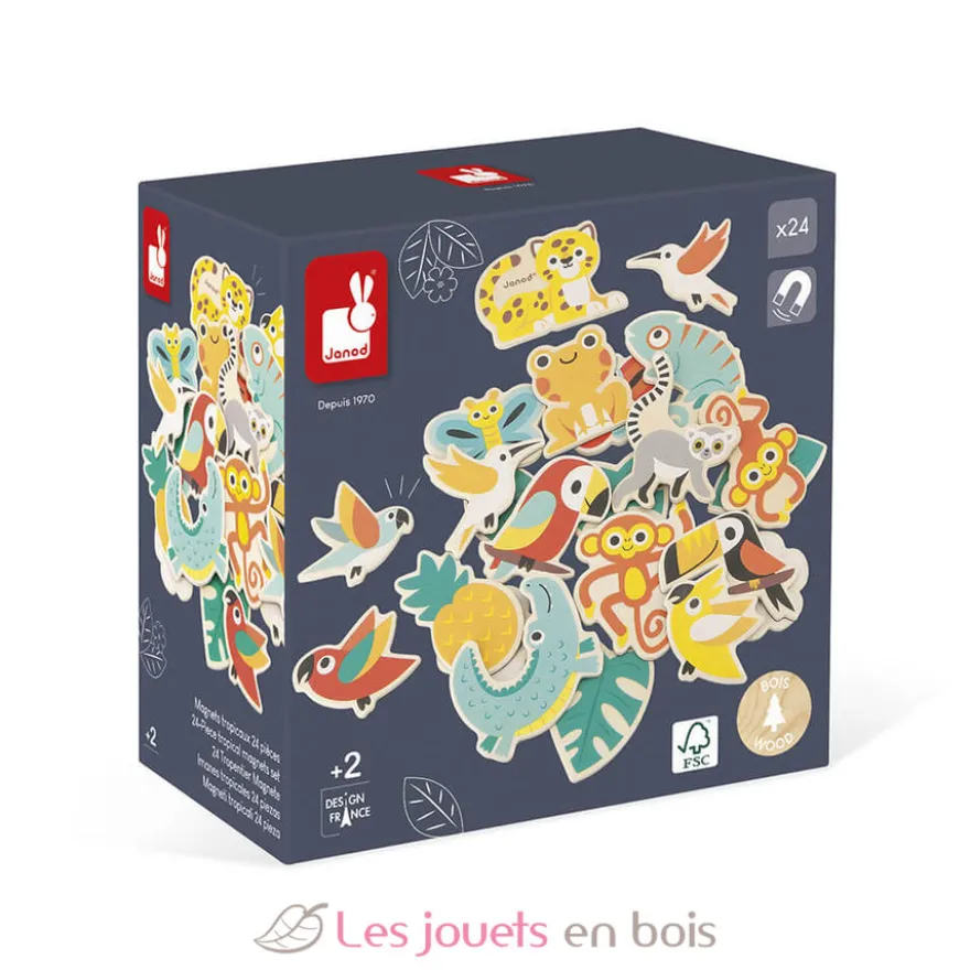 24 magnets tropicaux Tropik - Janod