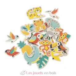 24 magnets tropicaux Tropik - Janod