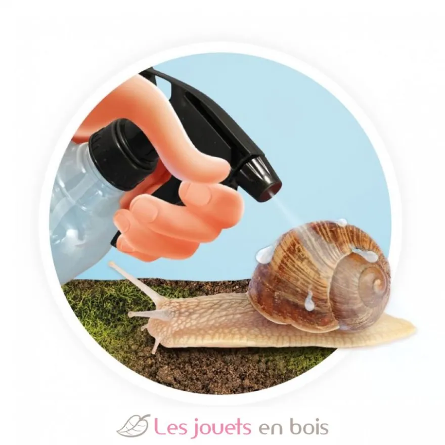 Maison des escargots - Buki France
