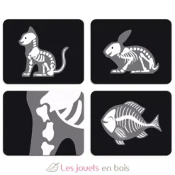 Mallette du Vétérinaire - Janod