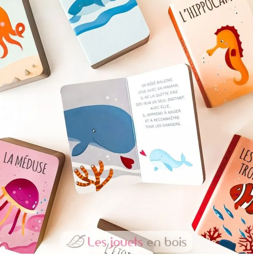 Ma Petite Bibliothèque La mer - Sassi Junior