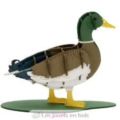 Maquette 3D en papier Canard colvert mâle - Fridolin