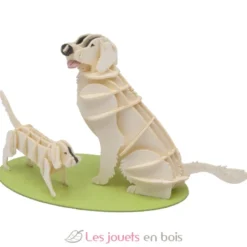 Maquette 3D en papier Golden Retriever - Fridolin