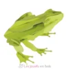 Maquette 3D en papier Grenouille verte - Fridolin