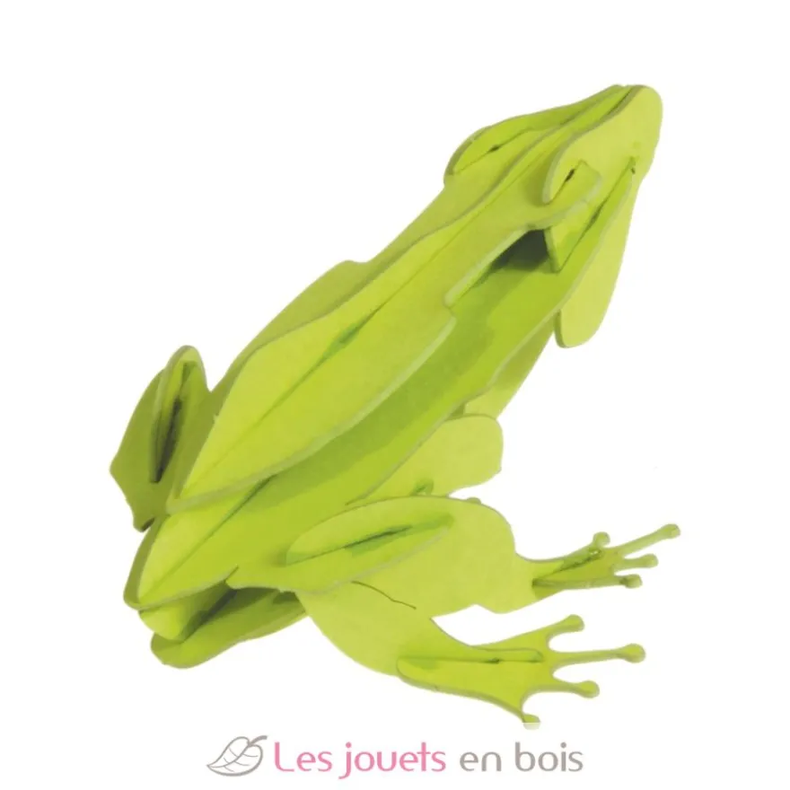 Maquette 3D en papier Grenouille verte - Fridolin