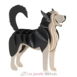 Maquette 3D en papier Husky sibérien gris blanc- Fridolin