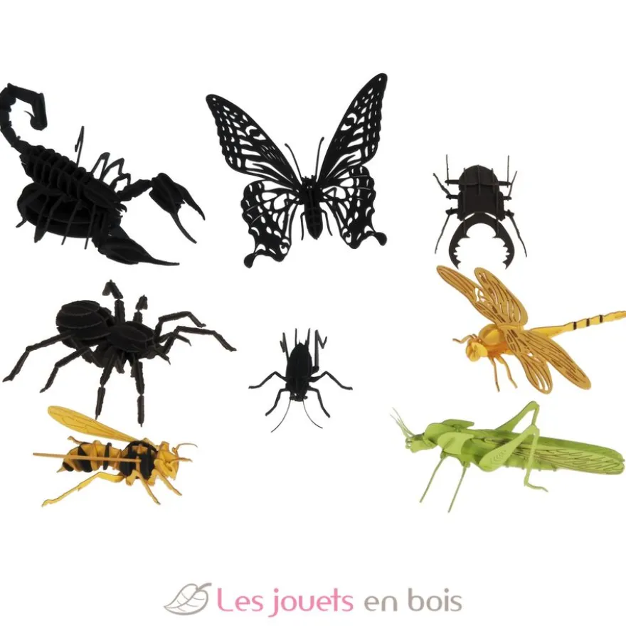 Maquette 3D en papier Libellule - Fridolin