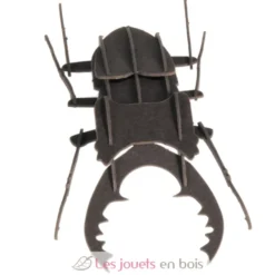 Maquette 3D en papier Lucane noire - Fridolin