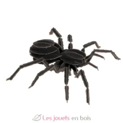 Maquette 3D en papier Tarentule noire - fridolin