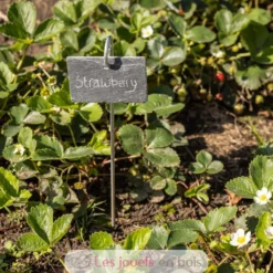 Marqueur de plantes en ardoise sur tige - Esschert Design