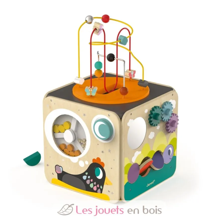 Maxi Looping Multi-activités - Janod