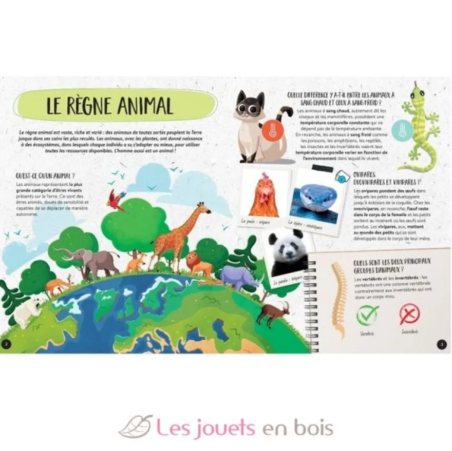 Méga Atlas des Animaux - Sassi Junior