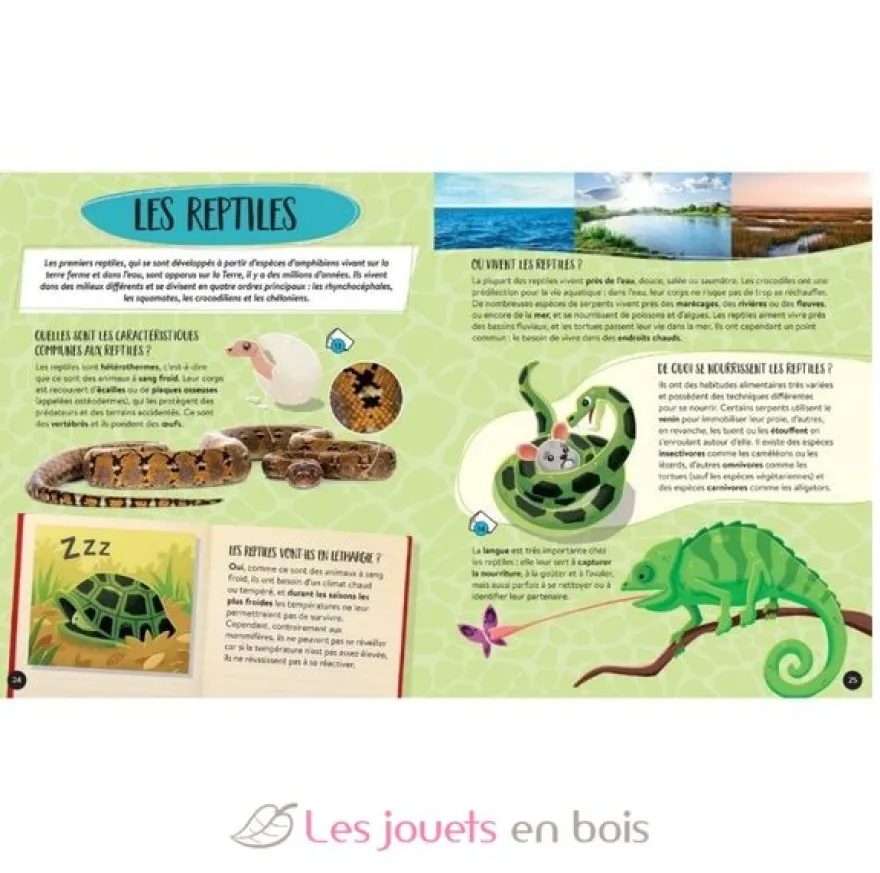Méga Atlas des Animaux - Sassi Junior