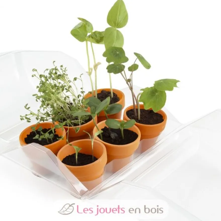 Mini-Serre Mon Premier Jardin - Radis et Capucine