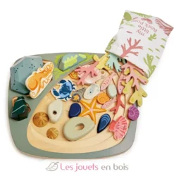 Mon petit bassin rocheux - Tender Leaf Toys