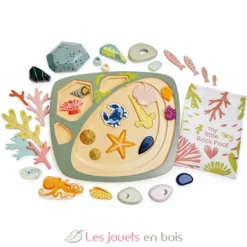 Mon petit bassin rocheux - Tender Leaf Toys