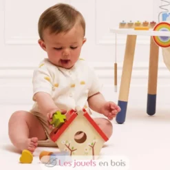 Mon petit nichoir boîte à formes - Le Toy Van