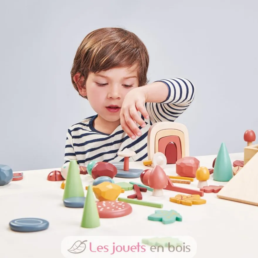 Mon Sol Forestier - Tender Leaf Toys