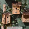 Nichoir mésange charbonnière avec toit en écorce - Esschert Design