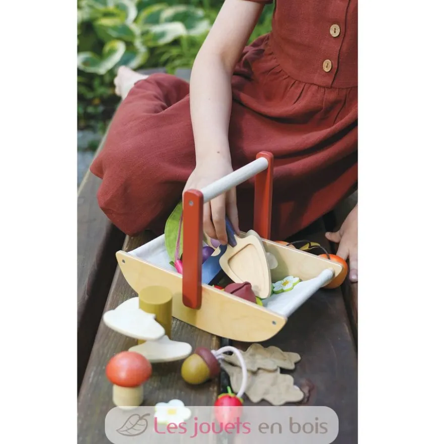 Panier cueillette sauvage - Tender Leaf Toys