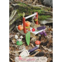 Panier cueillette sauvage - Tender Leaf Toys