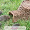 Panier à hérisson - Esschert Design