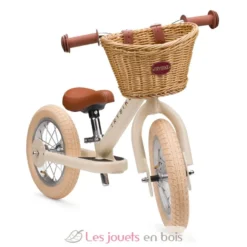 Panier à vélo - Trybike