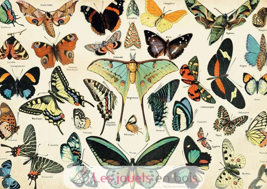 Papillons d'après Millot - Puzzle Michèle Wilson