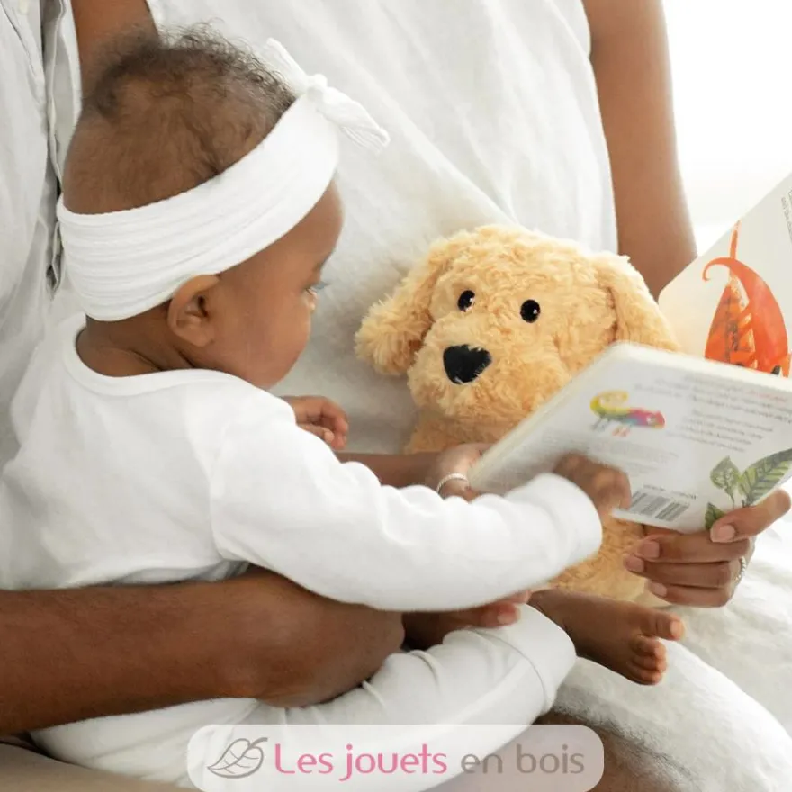 Peluche Bouillotte Chien bouclé - Warmies