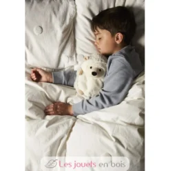 Peluche Bouillotte Hérisson - Warmies