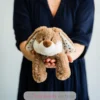 Peluche Bouillotte Lapin étoile marron Warnies
