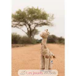 Peluche Girafe 35 cm - Safari Friends - Little Dutch