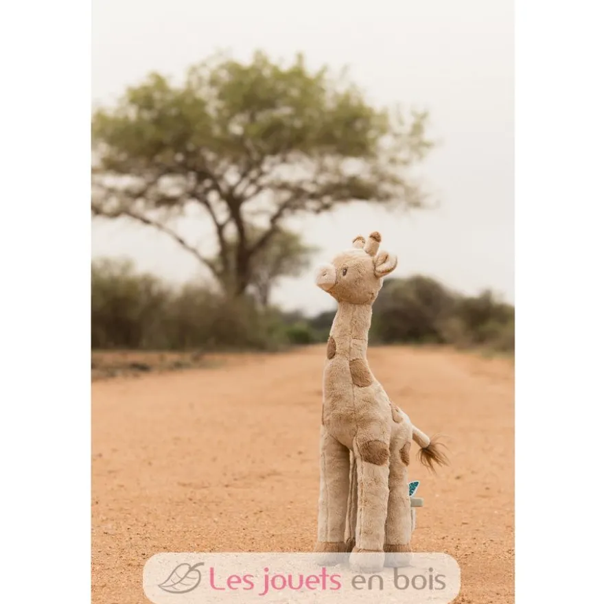 Peluche Girafe 35 cm - Safari Friends - Little Dutch