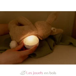 Peluche musicale et lumineuse Lapin - Little Dutch