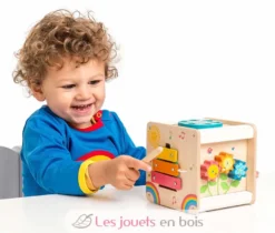 Petit cube d'activités - Le Toy Van
