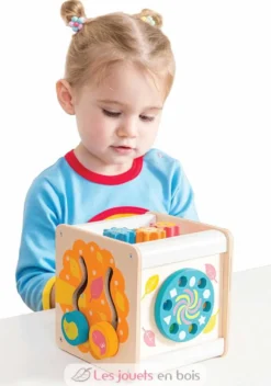 Petit cube d'activités - Le Toy Van
