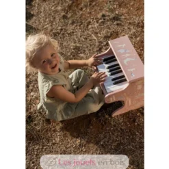 Piano en bois vert Safari Friends - Dès 3 ans - Little Dutch
