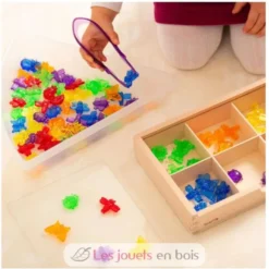 12 pinces colorées translucides - TickiT