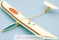 Planeur Bingo - Aero-naut